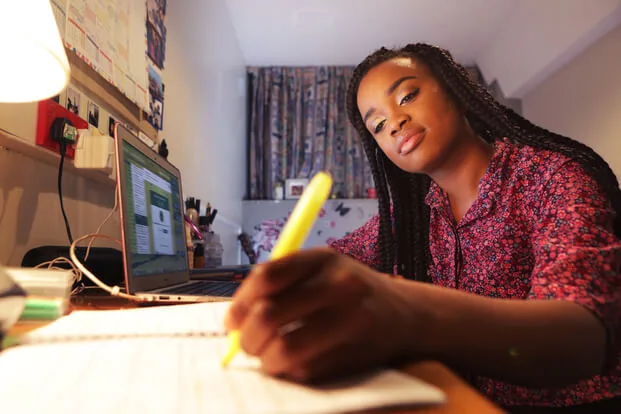 Profile Essay Example: Guide to Writing a Successful Assignment