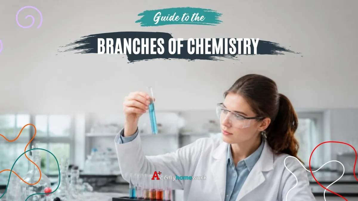 Branches of Chemistry: What Each Field Studies